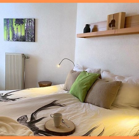 Baechle Im Wanderparadies Balkon Mit Blick Auf Den Bach Sauna Im Haus Tiefgarage E-Ladestation Todtnauberg Luaran gambar