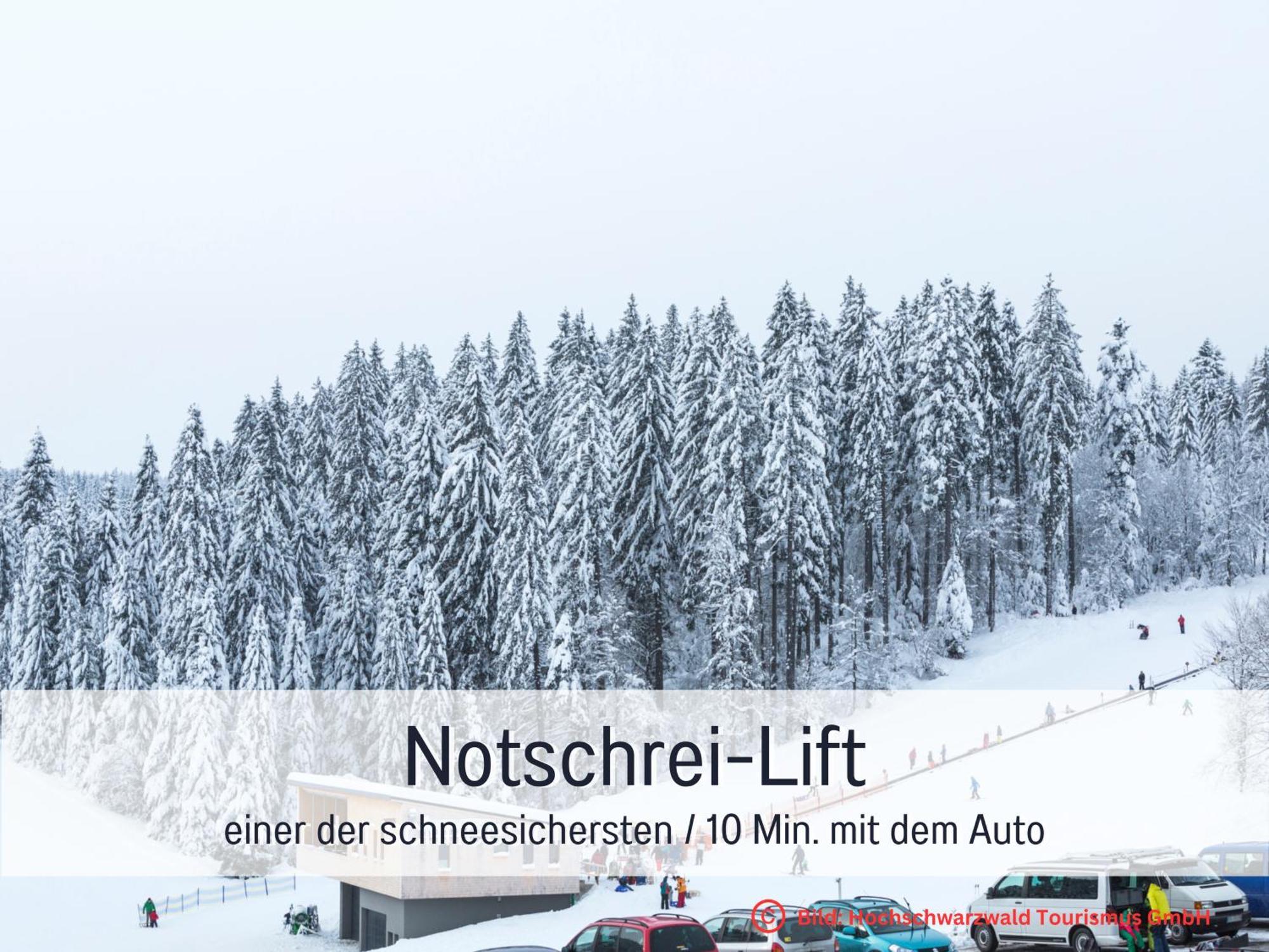 Baechle Im Wanderparadies Balkon Mit Blick Auf Den Bach Sauna Im Haus Tiefgarage E-Ladestation Todtnauberg Luaran gambar