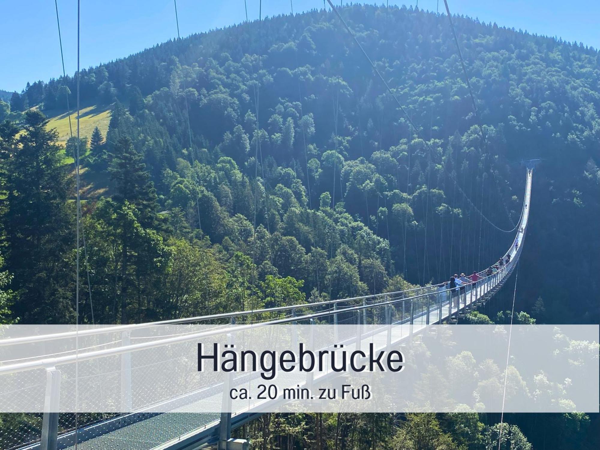 Baechle Im Wanderparadies Balkon Mit Blick Auf Den Bach Sauna Im Haus Tiefgarage E-Ladestation Todtnauberg Luaran gambar